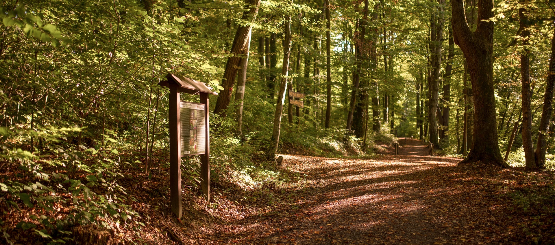 Rimska park šuma